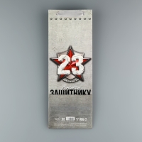 Пакет подарочный ламинированный под бутылку, упаковка, «Защитнику», 23 февраля, 13 x 35 x 10 см Пакет подарочный ламинированный под бутылку, упаковка, «Защитнику», 23 февраля, 13 x 35 x 10 см