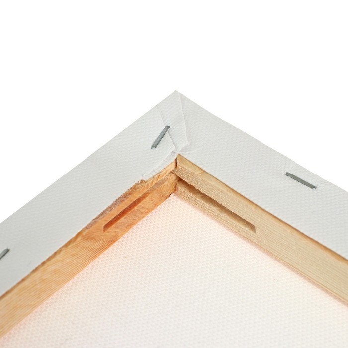 Набор холстов на подрамнике, 4 штуки, хлопок 100%, размер (24×30, 30×40, 40×50, 50×70 см), акриловый грунт, среднезернистый, 380 г/м² Набор холстов на подрамнике, 4 штуки, хлопок 100%, размер (24×30, 30×40, 40×50, 50×70 см), акриловый грунт, среднезернистый, 380 г/м²