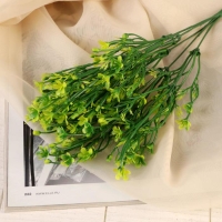 Букет "Травка мелкая" 35 см, микс