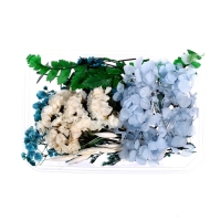 Набор для творчества &laquo;Набор сухоцветов&raquo;, малый, голубой