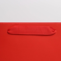 Пакет подарочный ламинированный, упаковка, &laquo;Красный&raquo;, ML 23 х 27 х 11.5 см