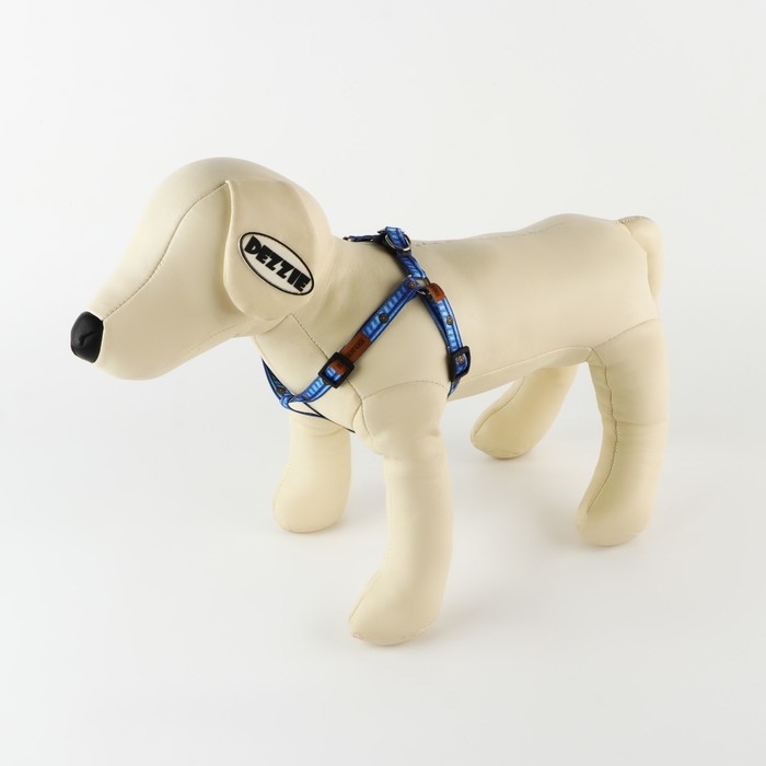 Комплект &laquo;Любимчик&raquo;, шлейка 24-36 см, поводок 120х1 см