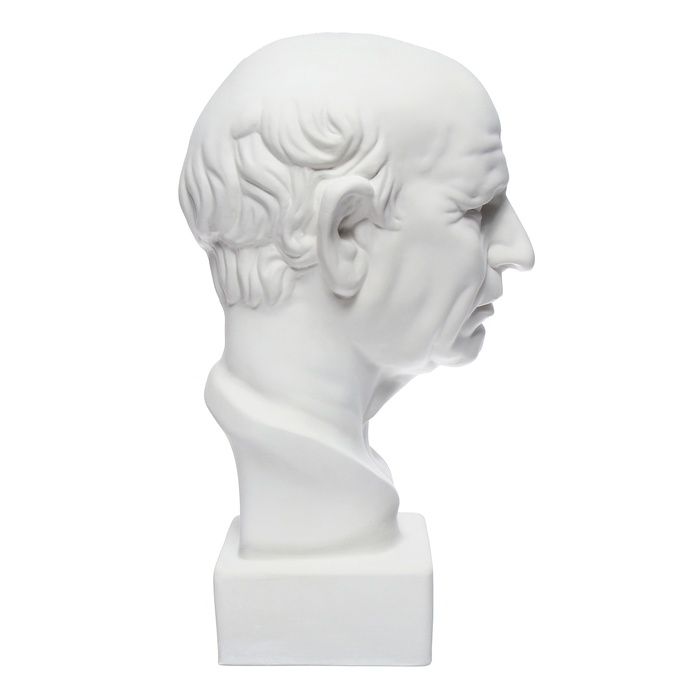 Гипсовая фигура Голова римлянина, 25 х 25 х 60 см Гипсовая фигура Голова римлянина, 25 х 25 х 60 см