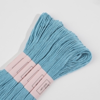 Набор ниток мулине №807, 8 &plusmn; 1 м, 6 шт, цвет грязно-голубой