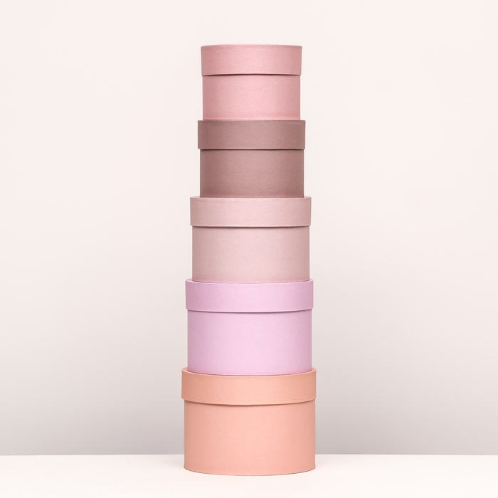 Набор шляпных коробок 5 в 1 Набор шляпных коробок 5 в 1 "Крема" 20 х 14,5, 14 х 10 см