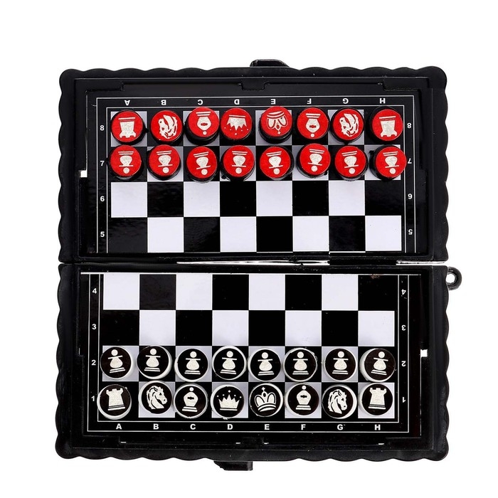 Настольная игра &laquo;Шашки, шахматы&raquo;, 2 в 1, на магнитах, 4+