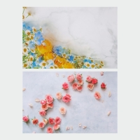 Фотофон двусторонний бумага 300 гр "Розы и ромашки" 57х87 см Фотофон двусторонний бумага 300 гр "Розы и ромашки" 57х87 см