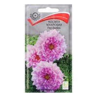 Семена цветов Космея махровая "Роуз бонбон", 0,1 г Семена цветов Космея махровая "Роуз бонбон", 0,1 г