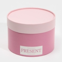 Набор шляпных коробок 3 в 1, упаковка подарочная, &laquo;Нежные цвета&raquo;, 16 х 10, 14 х 9, 13 х 8,5 см