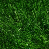 Газон искусственный, для спорта, ворс 40 мм, 2 &times; 10 м, зелёный, Greengo