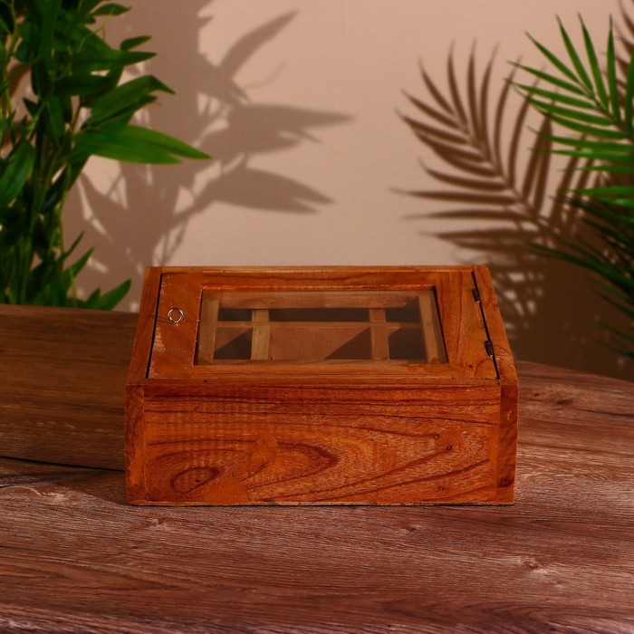 Коробка для чайных пакетиков 24х24х8 см, джампинис