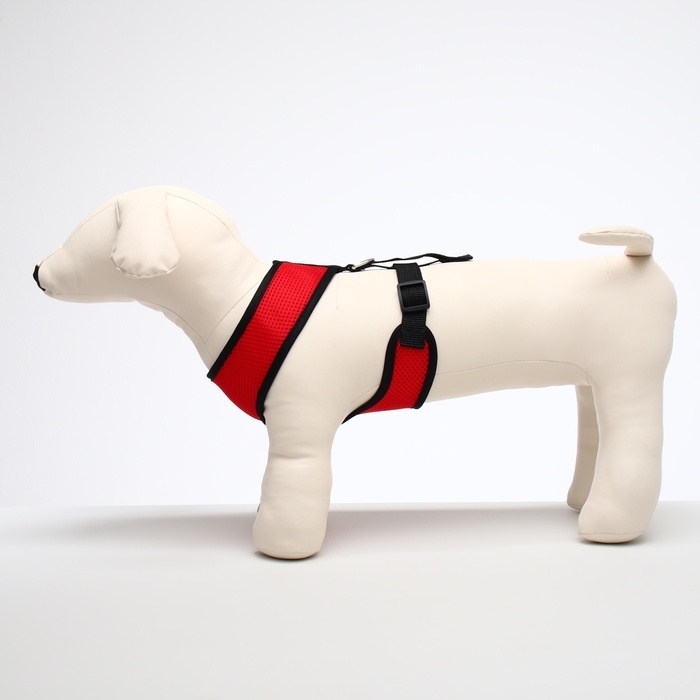 Шлейка мягкая из неопрена, размер L, ОШ 39 см, ОГ 36-46 см, красная Шлейка мягкая из неопрена, размер L, ОШ 39 см, ОГ 36-46 см, красная