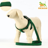 Комплект амуниции рельефный, поводок 120 х 2 см, ОГ 44-50 см, зелёно-чёрный Комплект амуниции рельефный, поводок 120 х 2 см, ОГ 44-50 см, зелёно-чёрный