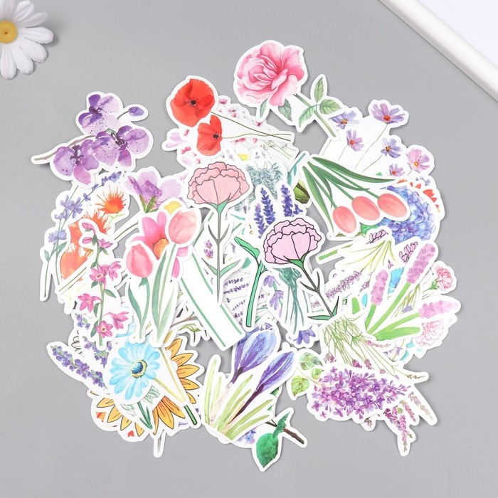 Наклейки для творчества Наклейки для творчества "Полевые цветы" набор 50 шт 4х8 см