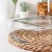 Лоток из жаропрочного стекла с крышкой Borcam, 2 л, 22×22 см, квадратный Лоток из жаропрочного стекла с крышкой Borcam, 2 л, 22×22 см, квадратный