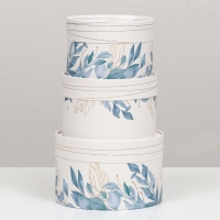 Набор шляпных коробок 3 в 1 "Цветочные узоры", завальцованная, 16 х 10, 14 х 9, 13 х 8,5 см Набор шляпных коробок 3 в 1 "Цветочные узоры", завальцованная, 16 х 10, 14 х 9, 13 х 8,5 см