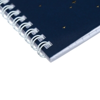 Тетрадь 48 листов в клетку на гребне "Гарри Поттер", обложка мелованный картон, матовая ламинация, 3D фольга, блок офсет, 4 вида МИКС Тетрадь 48 листов в клетку на гребне "Гарри Поттер", обложка мелованный картон, матовая ламинация, 3D фольга, блок офсет, 4 вида МИКС