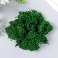 Мох стабилизированный "Зелёный" 500 гр (+-5 гр). Мох стабилизированный "Зелёный" 500 гр (+-5 гр).