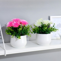 Бонсай в горшке "Хризантемки" 9х18 см, микс