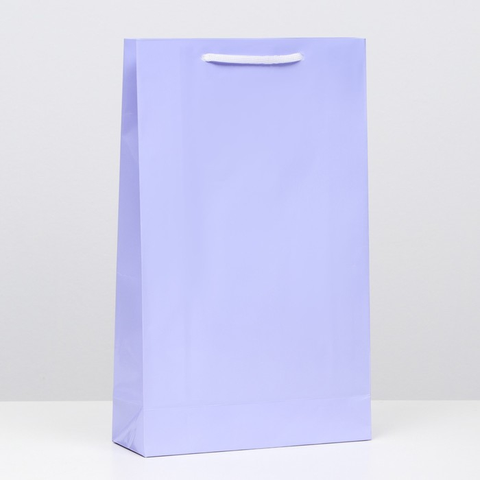 Пакет ламинированный, сиреневый, 40,5 х 24,8 х 9 см, набор 12 шт. Пакет ламинированный, сиреневый, 40,5 х 24,8 х 9 см, набор 12 шт.