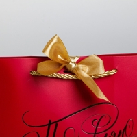 Пакет подарочный, упаковка, «Поздравляю», 19 х 20 х 9 см Пакет подарочный, упаковка, «Поздравляю», 19 х 20 х 9 см