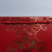 Пакет подарочный, упаковка, &laquo;Россия с тобой&raquo;, 32 х 26 х 12 см