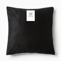 Наволочка декоративная Этель &laquo;Кант&raquo;, 45х45, цвет чёрный, велюр (100% пэ)