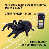 Животное «Паук», на дистанционном управлении, работает от батареек, цвета МИКС Животное «Паук», на дистанционном управлении, работает от батареек, цвета МИКС