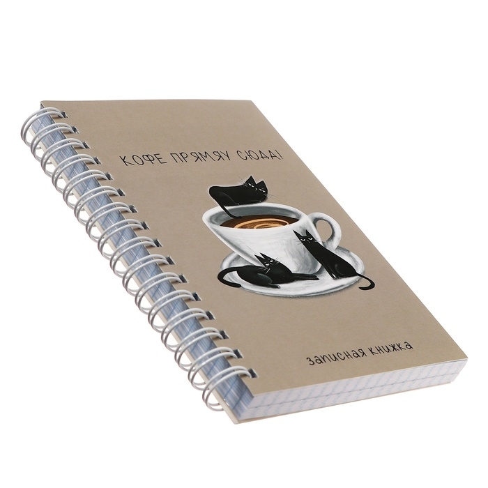 Записная книжка А6, 120 листов в клетку на гребне Записная книжка А6, 120 листов в клетку на гребне "Сделай паузу", обложка мелованный картон, МИКС