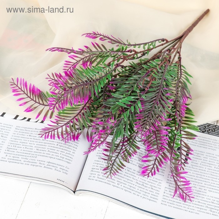 Букет Букет "Папоротник" 35 см, микс