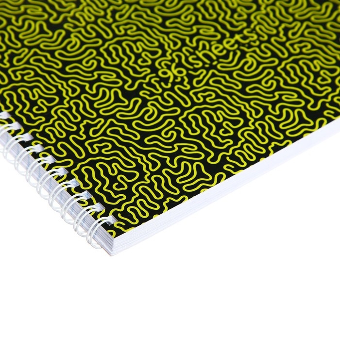 Тетрадь A4, 96 листов в линейку на гребне Тетрадь A4, 96 листов в линейку на гребне "Лабиринт", обложка мелованный картон, глянцевая ламинация, тиснение, блок 65 г/м2, 4В МИКС