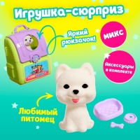 Игрушка-сюрприз &laquo;Любимый питомец&raquo; в рюкзачке, с аксессуарами, МИКС