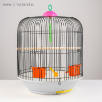 Клетка для птиц круглая, двухъярусная сварная, большой поддон, 39 x 44 см, микс цветов Клетка для птиц круглая, двухъярусная сварная, большой поддон, 39 x 44 см, микс цветов