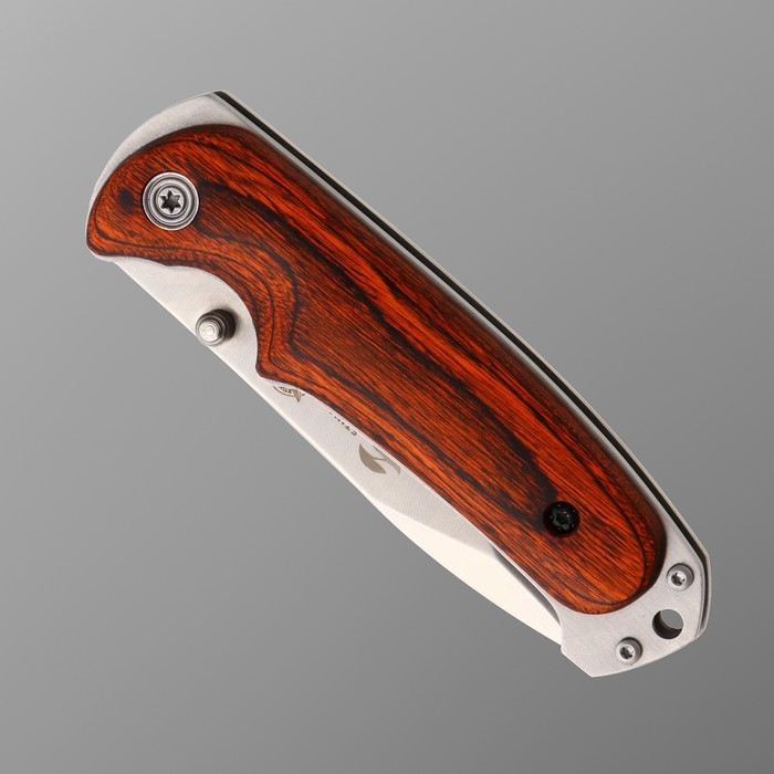 Нож складной Stinger, 9 см, лезвие - 3Cr13, рукоять - дерево Нож складной Stinger, 9 см, лезвие - 3Cr13, рукоять - дерево