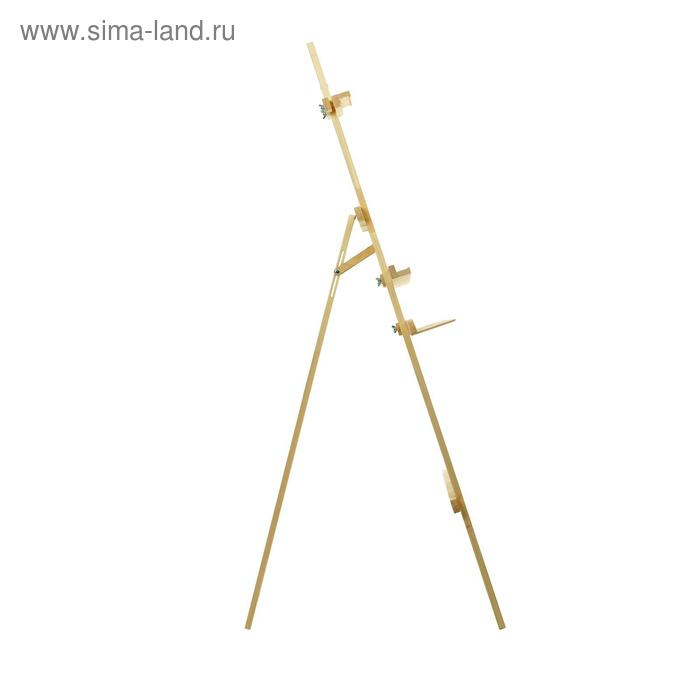 Мольберт тип &laquo;Лира&raquo; 175 х 62 см, (полка 60 х 12 см, с двумя подстаканниками), с бегунком, неокрашенное дерево, Calligrata №7