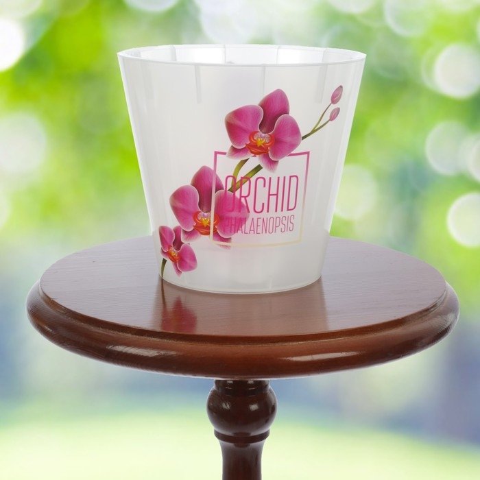 Кашпо для орхидей «Фиджи», 1,6 л, дизайн МИКС Кашпо для орхидей «Фиджи», 1,6 л, дизайн МИКС