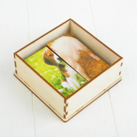 Картинки-половинки &laquo;Домашние животные&raquo;