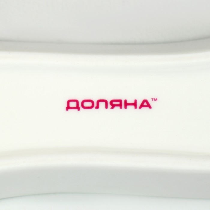 Блюдо фарфоровое для оливок/солений Доляна &laquo;Зелёный сад&raquo;, 20&times;5&times;3,5 см, цвет белый