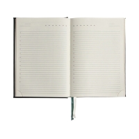 Ежедневник недатированный A5, 176 листов, deVENTE.Symbol, твёрдая обложка из искусственной кожи с поролоном, золотой срез, блок 70 г/м2, зелёный