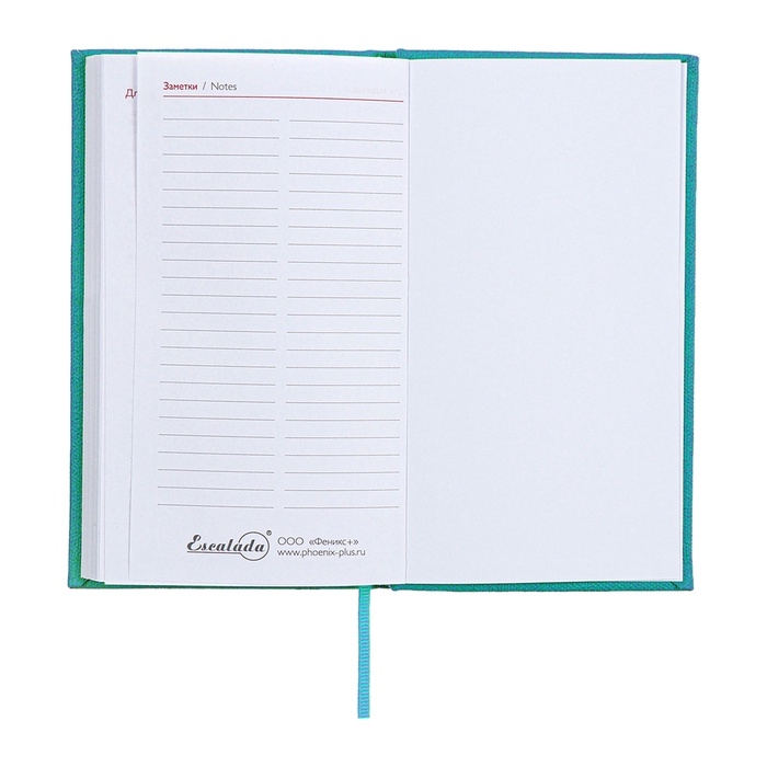 Еженедельник датированный 2025 года, 85х145 мм, 64 листа ESCALADA, твердая обложка из искусственной кожи, блинтовое тиснение, блок 70 г/м&sup2;, бирюзовый