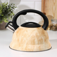 Чайник со свистком из нержавеющей стали Доляна &laquo;Скоттиш&raquo;, 2,8 л