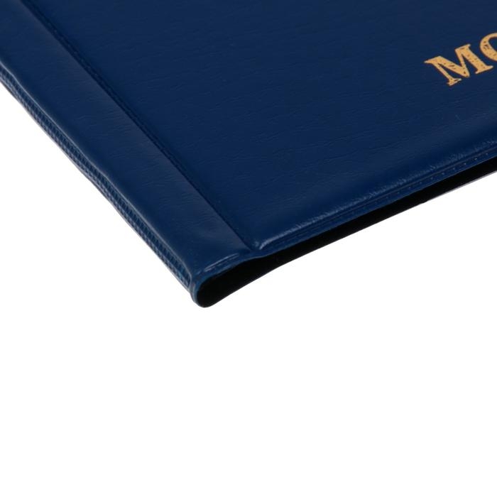 Альбом для монет 125 х 185 мм Calligrata, на 150 монет, ячейка 35 х 35 мм, 10 листов, обложка ПВХ, синий Альбом для монет 125 х 185 мм Calligrata, на 150 монет, ячейка 35 х 35 мм, 10 листов, обложка ПВХ, синий