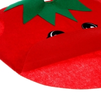 Карнавальный набор &laquo;Спелый помидор&raquo;, фетр