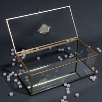 Органайзер для хранения «MOUNTAINS», с крышкой, стеклянный, с зеркальным дном, 1 секция, 21,5 × 10,5 × 7,5 см, цвет прозрачный/медный Органайзер для хранения «MOUNTAINS», с крышкой, стеклянный, с зеркальным дном, 1 секция, 21,5 × 10,5 × 7,5 см, цвет прозрачный/медный