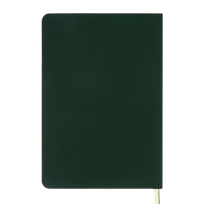 Ежедневник недатированный, A5, 136 листов, кожзам, deVENTE. Tropicana, твердая обложка, тиснение фольгой, перфорация, ляссе, блок 70%, темно-зеленый