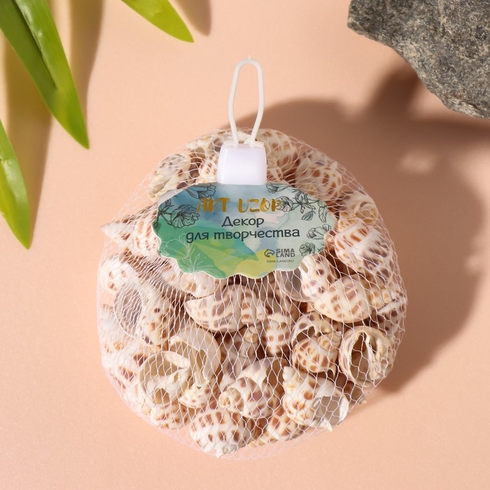 Ракушки природные декоративные Ракушки природные декоративные "Бабилония" набор 100 гр