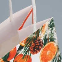 Пакет подарочный новогодний крафтовый &laquo;Новогодний цитрус&raquo;, 12 х 21 х 9 см, Новый год