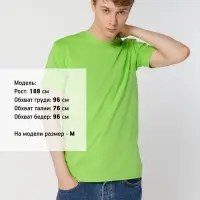 Футболка унисекс T-bolka 160, зеленое яблоко, размер L