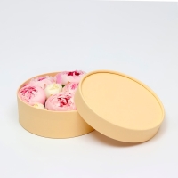 Коробка - тубус 2 в 1, низкие с глухой крышкой "Бежевый", 21 х 7 - 18 х 6 см Коробка - тубус 2 в 1, низкие с глухой крышкой "Бежевый", 21 х 7 - 18 х 6 см