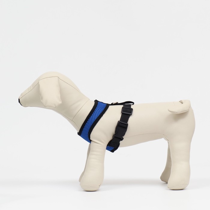 Шлейка мягкая из неопрена, размер XL, ОШ 42 см, ОГ 38-50 см, синяя Шлейка мягкая из неопрена, размер XL, ОШ 42 см, ОГ 38-50 см, синяя